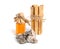 Palo santo, Holy Wood sticks wit incense resin isolated on white background