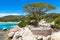 Palombaggia beach in Corsica Island in France