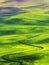 Palouse