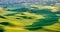 Palouse green wheat fields, seen from Steptoe Butte state park, Palouse, WA