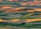 Palouse region