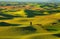 Palouse rolling hills