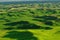 Palouse wheat fields