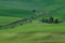 Palouse wheat fields