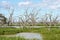 Pamamaroo lake , part of the Menindee lakes