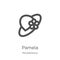 pamela icon vector from miscellaneous collection. Thin line pamela outline icon vector illustration. Outline, thin line pamela