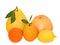 Pamelo, tangerines, grapefruit, lemon and orange