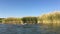 Pampas grass along Orange River in Namibia