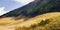 Pampas grass field at sengokuhara hakone