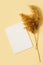 Pampas grass mock up and template minimalists composition with white poster on yellow background