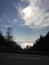 Pampas grass, redwood trees, ocean, clouds and sky Big Sur Canyon