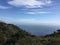 Pampas grass, redwood trees, ocean, clouds and sky Big Sur Canyon