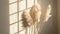 Pampas grass with soft textures in gentle sunlight, interior decoration concept