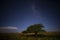 Pampas landscape photographed at night with a starry sky,