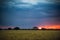 Pampas landscape sunset