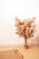 Pampas reeds in a glass vase. Beige interior plant fashion design. Dry grass decoration. copy space mocup wall