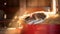 Pampered Cat Sleeping in Cozy Red Barn