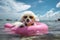 Pampered Pooch: A Cute Bichon Frise Lounging in Style on a Beach Float - Generative AI