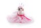 Pampered Princess or Ballerina pet