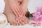 Pampering Perfection: French Nail Polish on Beautiful Female Feet and Hands in Spa Salon