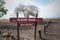 pamphlet "DON'T ENTER THE SAVANA" with a background of dry brown trees without leaves