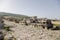 Pamukkale, Turkey. Sarcophagi, standing on top of the crypt, in the necropolis of Hierapolis