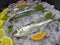 The pan cooking method is the most common.Horse mackerel is a species with thin teeth, large eyes, and a deeply forked and awned