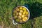 A pan of fresh young peeled potatoes stands on the green grass. View from above. Potato dishes, cooking potatoes at a picnic