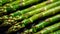 Pan Fried Asparagus. Grilled green asparagus on a cast iron plate. AI Generative