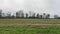 Pan of green lush farmland in rural Georgia