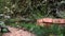 Pan over pebble path with wildflowers and rustic wooden garden door in cottage garden