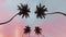Pan through Palm Trees. Bottom view of coconut palm trees in sunshine, sunset in the summer, outdoor. Retrowave