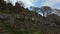 Pan and reveal shot at The Roaches in the Peak District National Park