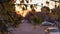 Pan right shoot from trunk closeup to blurry sunset sky with branches framing the street