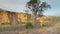 pan of the riverbanks of the murray river at big bend