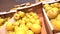 PAN Shelf full of fresh yellow and green apples