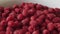 Pan shot of a Fresh organic raspberry berries. Close up shot.