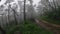 A pan shot shows the car moving on the wet, watery mud road amidst the jungle