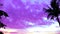 Pan vertical silhouette coconut sunset on sea and purple cloud on sky