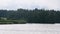 Pan view of wavy water surface. Pond with swans