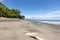 Panama, Armuelles seascape, beached trunk