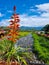 Panama, Boquete, Caldera Creek passing through the center