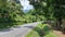 Panama, Boquete hills, road between coffee plantations