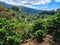 Panama, Boquete, panoramic view of the surrounding hills