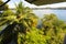 Panama panoramic view from a terrace of the Boca Brava island