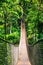 Panama Rainforest. Hanging bridge in the jungle of Panama, Central America.