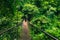 Panama Rainforest. Old hanging bridge in the jungle of Panama, Central America.