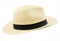 Panama style hat