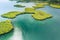 Panama. Tropical Island Aerial View. Wild coastline, Bocas del Toro, Central America, Panama.