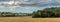 Panaramic view of a farm with cows and a silo surrounded by a field and woods